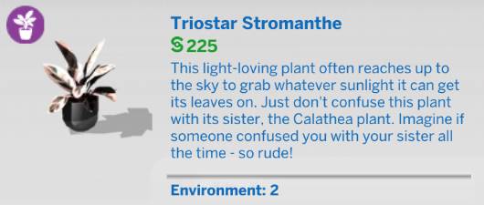 The Sims 4 Blooming Rooms Kit - Triostar Stromanthe