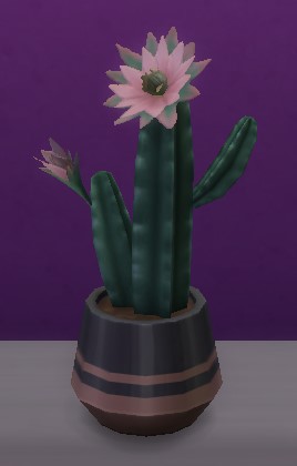 Sims Delivery Express 6.0.1 April 27, 2022 - Night Blooming Cereus Cactus Plant