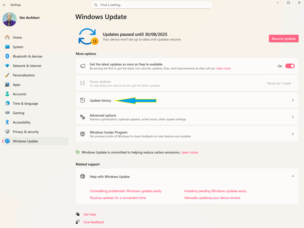 Windows Update 24H2 / KB5063878 can Break SSDs PERMANENTLY! The Sim