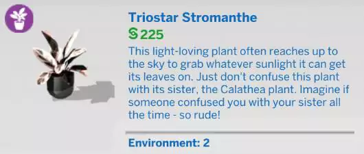The Sims 4 Blooming Rooms Kit 1.81.72.1030 - November 9, 2021 - The Sim Architect The Sims 4 Blooming Rooms Kit - Triostar Stromanthe